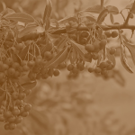 test3